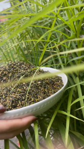 Tim sen sấy khô túi 100g  Trà tâm sen khô - Thảo Dược Tấn Phát - Hàng công ty chất lượng cao - Hỗ trợ thanh nhiệt và giải độc giúp bạn ngủ ngon hơn