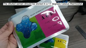 10+1 Ace Long Term 5 to 7 days boar semen extender for pigs Semen extender mIII Minitub semen extender Androstar plus