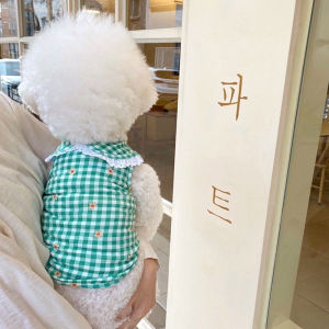 Lightweight Navy Collar Vest for Small Dogs And Cats Pet Clothes Teddy Bichon Pomeranian Spring Summer Pet Supplies