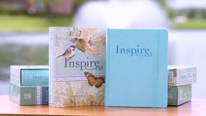 Tyndale NLT Inspire Creative Bible: A Pray Journal with Over 400 Illustrations