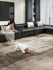 FANLILAI | Wabi Sabi Modern Minimalist Washable Non-Slip Scratch-Resistant Carpet
