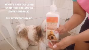 500ml Saint Roche Conditioner Pet All Stages Adult Puppy Dog Dogs Soft Smooth Hair Grooming Coat