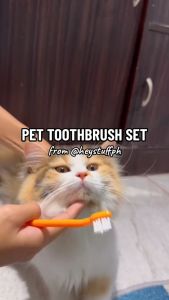 Pet Toothbrush Set w/ Toothpaste for Dog Cat Oral Care Clean Teeth Pet Essentials Accessories