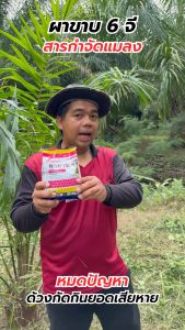 ผาขาบ6จี สารกำจัดแมลง กำจัดเพลี้ย มด ปลวก มอด หนอนกอ ใช้รองก้นหลุมในการปลูกพืช ปริมาณ 1 กิโลกรัม ใช้งานง่าย