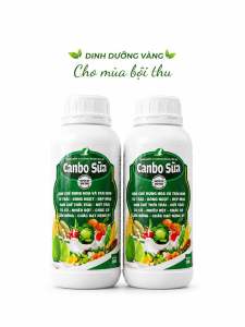 Chai Canxi BO sữa 500ml chống rụng trái dừa