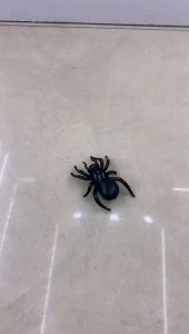 Fun Toys Battery Operated Moving and Vibrating Scorpion / Spider For Kids or Pets