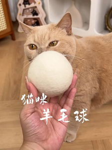 Interactive Cat Toys Wool Ball - Silent Biting Kitten Teething Self Play Fluffy Solid Ball for Indoor Cats Pet Chew Toy Durable