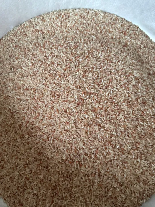 (2kg) Gạo lúa mùa một năm một vụ an toàn sức khỏe, gạo nấu cháo được cho bé