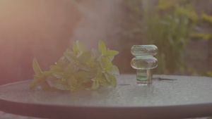 Tinh Dầu Bạc Hà Treo Thơm Xe Hơi TINHDAUSACHANH 10ml Tinh Dầu Lọc Không Khí Trang Trí Bàn Làm Việc