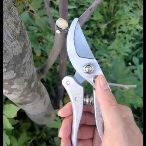 🚚COD🚚 กรรไกรตัดกิ่งไม้ กรรไกรตัดหญ้า กรรไกรตัดสวน กรรไกรตัดกิ่งไม้อเนกประสงค์ SK5