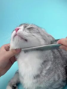 แปรงแมว แปรงขนแมว แปรงขจัดขนแมว ใช้เก็บขนสัตว์เลี้ยง 2 ด้าน ล้างทำความสะอาดได้ แปรงผลัดขนสัตว์เลี้ยง หวีสางขนหมา ช่วยลดปัญหาขนพันกัน ใช้งานง่าย สะดวก