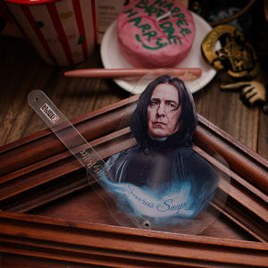 Harry Potter Acrylic Character Stand Draco Hermione Snape Dream Island Coin Badge Display Holder Anime Cartoon Collectible