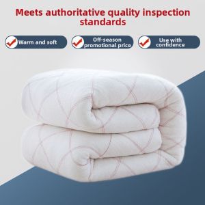 Thickened Quilt for Spring Autumn and Summer Cooling  Blanket