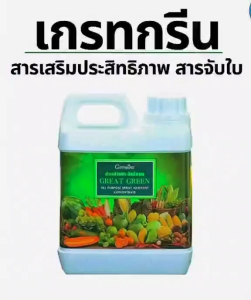 ส่งฟรี สารจับใบ สวน ปุ๋ย กิฟฟารีน เกรทกรีน สารเสริมประสิทธิภาพ คุณภาพสูง  ขนาดบรรจุ 5 ลิตร สำหรับ ฉีดพ่นทางใบ ดิน