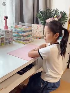 Transparent A4 Paper Book Organizer
