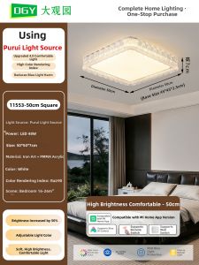 DGY | Luxury Modern Simple Ceiling Light