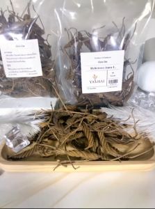 ปอกะบิด Helicteres isora L. 90 กรัม 1 ถุง สมุนไพร แท้ ออแกนิค คนรัก สุขภาพ สินค้าเพื่อสุขภาพ ที่ดีกว่า เก็บรักษาได้นาน By Healthy Land