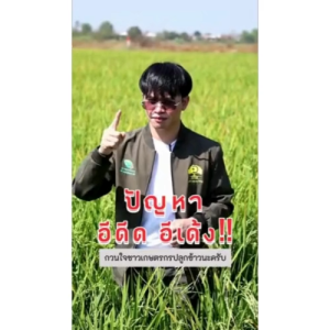 [ส่งไว] DOSE LOCK โดส ล็อค ช่วยลดจำนวนข้าวดีด ข้าวเด้ง และช่วยย่อยสลายฟาง ตอซัง