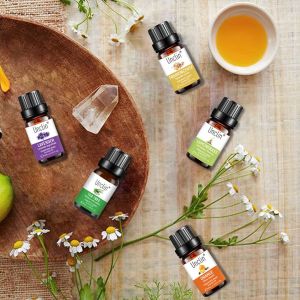 Lọ 10ml Tinh Dầu Thiên Nhiên Nguyên Chất Nhiều Mùi Thơm Phòng Giúp Bạn Thư Giãn Sảng Khoái Mỗi Ngày Cindyhome Y