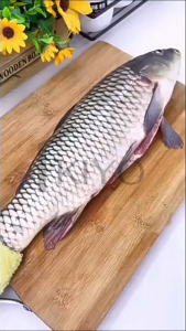 KIYO Peeler Pisau Pengupas Sisik Ikan Fish Skin Brush Scraper Alat Pengikis Ikan / Alat Pembersih Sisik Ikan