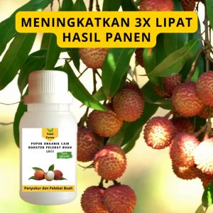 Pupuk Booster Leci Cair: Cara Meningkatkan Produksi Buah