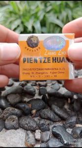 PTZ PZW Obat HERBAL Cina Pien Tze Huang Untuk Luka Agar Cepat Kering