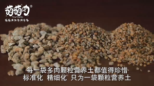 2.5Kilos Premium Akadama Soil Japanese Bonsai Soils High Quality Garden Plants Soils 1-3mm/3-6mm/6-9mm Bonsai And Succulents Triple Line Soils