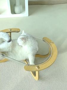 SKISOPGO Cat Space Capsule Pet Cat Dog Sleeping Shelf Bed Hammock Transparent Acrylic Space Capsule 猫咪太空舱