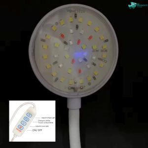 USB Round Clamp Lamp 5W and 7W for Small Tanks White Light Tricolor Light Blue White Light Adjustable Brightness