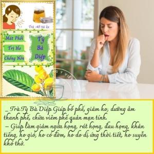 Trà Tỳ Bà Diệp 40 Túi lọc giảm ho bổ phế chống nôn Sale Hè Trà Đông Y Việt