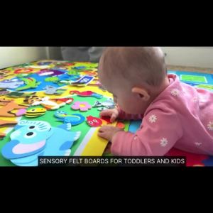 Động Vật Sở Thú Bộ Bảng Truyện Bằng Nỉ Đồ Chơi Học Tập Montessori Bộ Treo Tường Tương Tác Cho Trẻ Em 3-6Y Chơi Và Học Quà Tặng Giáo Dục