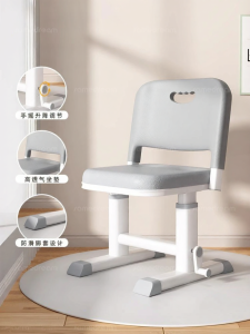 SAMEDREAM | Ergonomic Adjustable Study Chair