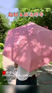 Weatherproof Compact Umbrella with UV Protection