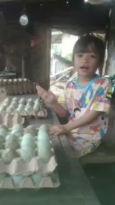 Kotak Box untuk Kemasan Produk