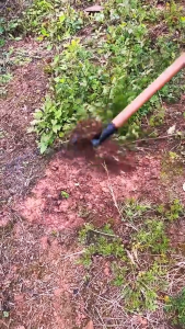 Cangkul Kepala Pengganti Baja Taman Cangkul Pertanian Cangkul Tangan Cangkul Tangan