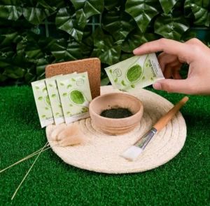 TIANSHI MASKER SPAKARE SPIRULINA MASK