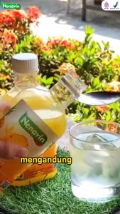 Paket 2 Botol Cuka Nanas Nenavin – Lawan Sariawan Radikal Bebas & Masalah Pencernaan