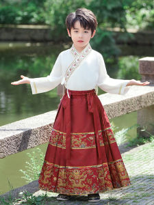 Boys Hanfu Costume Set Traditional Chinese Style Spring Autumn Cotton Inner Liner Boys Tang Suit National Fashion Outfit
