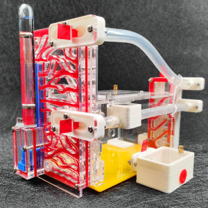 T Design DIY Ant Farm with Feeding Area Acryl Ant Nest Insect Ant House Villa Anthill Pet Workshop Mania for House Ant Hotel