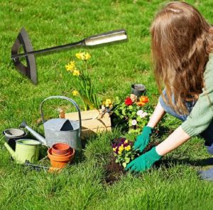 CANGKUL MINI / WANGKIL UNTUK RUMPUT TAMAN DAN KEBUN Bercocok Tanam para pecinta  taman#cangkulmini#cangkulrumput#cangkulpembersihrumput
