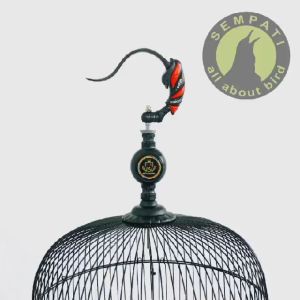 SEMPATI Gantungan Sangkar Kandang Burung Concept Sporty Oriq Jaya Fullset Pion Batik Cantolan Gantungan Sangkar Burung Fullset Lovebird Kotak Kenari Murai Pleci Branjangan