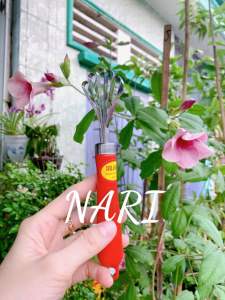 Nạo dừa sợi Vạn Lợi - Nạo dừa  nạo sợi đánh vẩy cá đa năng tiện lợi - gia dụng Nari