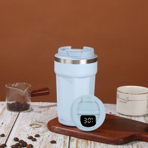 Insulated Portable Fashionable and Simple Water Bottle