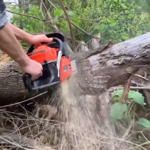 Chainsaw 5 HP Mitsubishi Japanese Import #authentic full function Full Power + (orange) 5800 piston 2 rings # for heavy duty (1 year warranty + shop filling)