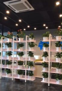 ชั้นวางต้นไม้ ชั้นวางกระถางต้นไม้ ชั้นวางอเนกประสงค์ ชั้นวางต้นกระบองเพชร ชั้นวาง ชั้นต้นไม้ ที่วางต่นไม้