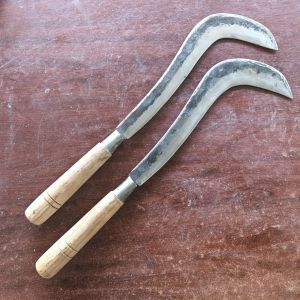 dogrit tebu dan ranting kebun