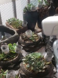 176. Jade Fertilizer Box: Specialized Bonsai Fertilizer Basket Sun-Proof Fertilizer Box Bonsai Tool for Efficient Fertilization - T1021