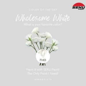 SEKU ALL SURFACE WATER BASED 1 LITER / 1 GALLON DECORATIVE PAINT FOR WOOD STEEL CEMENT PLASTIC AND OTHERS