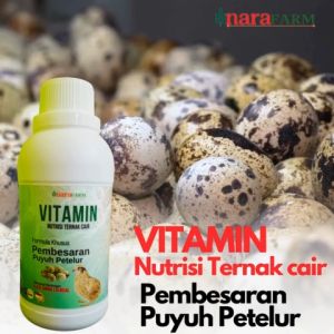 Vitamin burung puyuh petelur Obat vitamin untuk puyuh petelurVitamin Untuk Puyuh Petelur