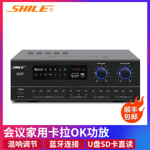 Lion AV-108 HiFi Amplifier Bluetooth Power Amplifier Professional Sound Constant Resistance High Power Amplifier Home Audio